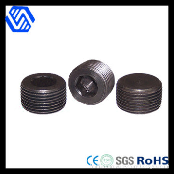 Steel Hexagon Socket Pipe Plugs (DIN 906)